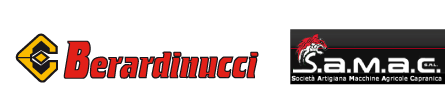 Logo Berardinucci